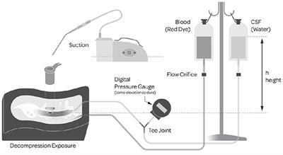 An Investigation of a Novel Dural Repair Device for Intraoperative Incidental Durotomy Repair